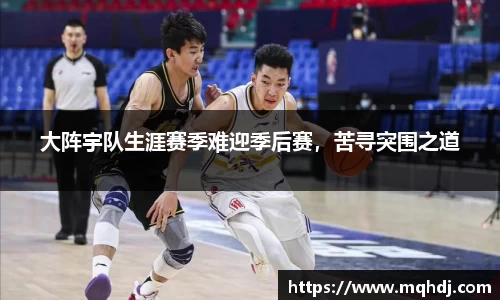 大阵宇队生涯赛季难迎季后赛，苦寻突围之道