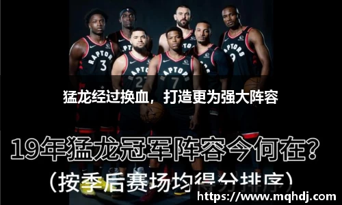猛龙经过换血，打造更为强大阵容