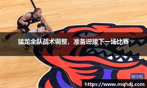 猛龙全队战术调整，准备迎接下一场比赛
