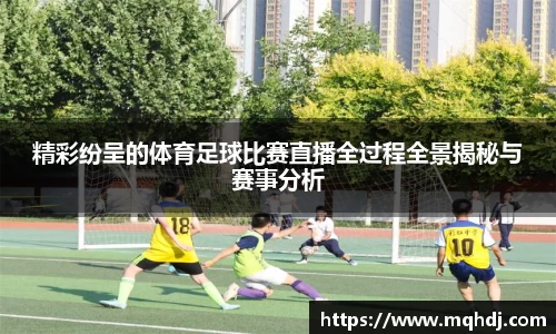 精彩纷呈的体育足球比赛直播全过程全景揭秘与赛事分析