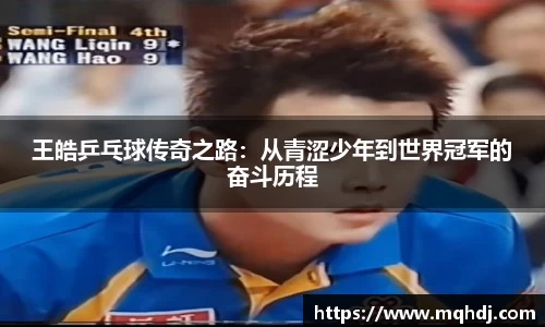 王皓乒乓球传奇之路：从青涩少年到世界冠军的奋斗历程