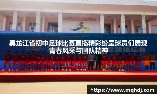 黑龙江省初中足球比赛直播精彩纷呈球员们展现青春风采与团队精神