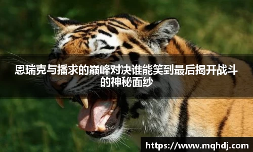 恩瑞克与播求的巅峰对决谁能笑到最后揭开战斗的神秘面纱